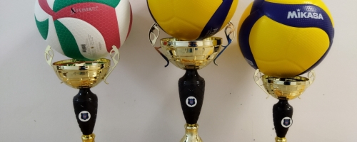 VII Turniej Piłki Siatkowej o Puchar Prezesa OSP Potępa