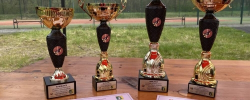 Otwarty Singlowy Turniej Tenisa Ziemnego o Puchar Wójta Gminy Krupski Młyn